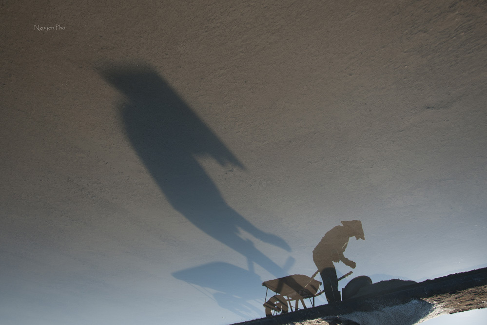 جمال صانعي الملح في حقول الملح في لونغ دين