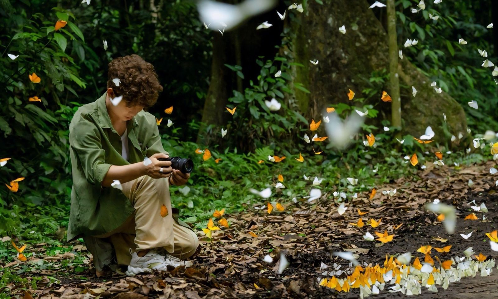 الفراشات تملأ السماء في حديقة كوك فونج الوطنية