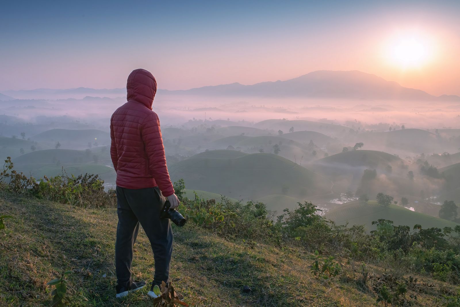 ثلاث تلال الشاي في شمال الفيتنام في الأيام الأولى لفصل الشتاء