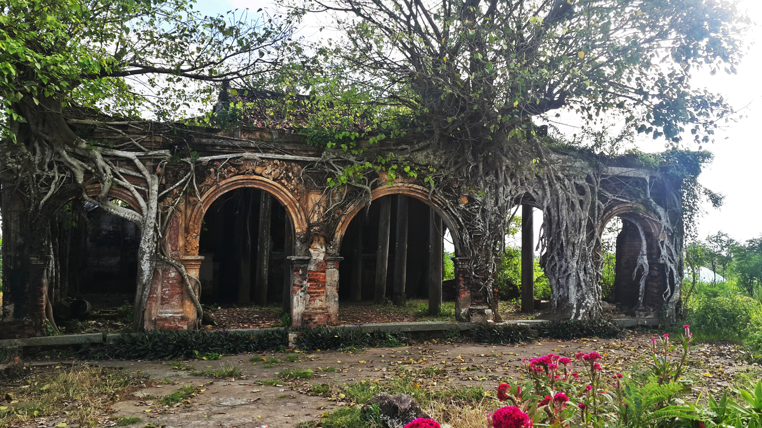 يوم من مشاهدة المعالم السياحية والمشي على الشاطئ في تيان جيانغ