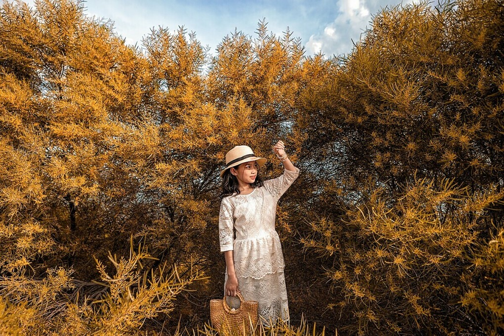 يقوم الزوار بتسجيل الوصول في شوارع الأزهار أوراق الأكاسيا ملاليوكا