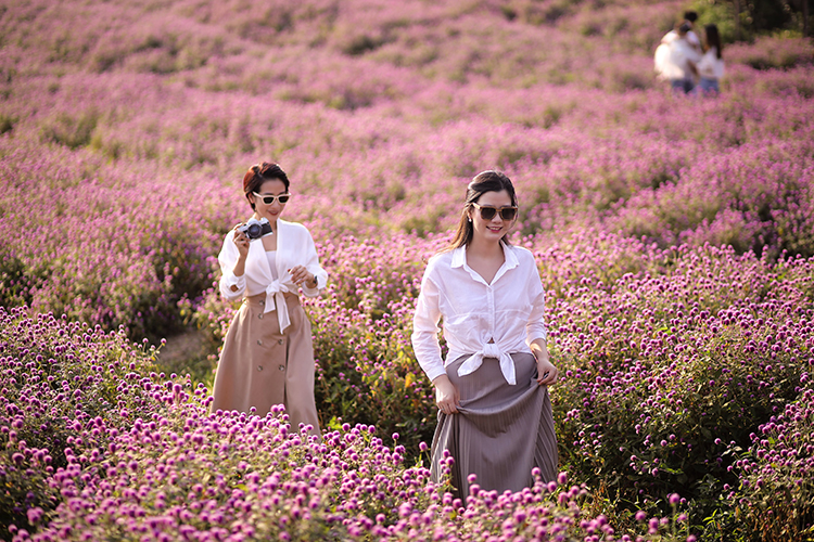 موسم الأقحوان باخ نهات على النهر الأحمر