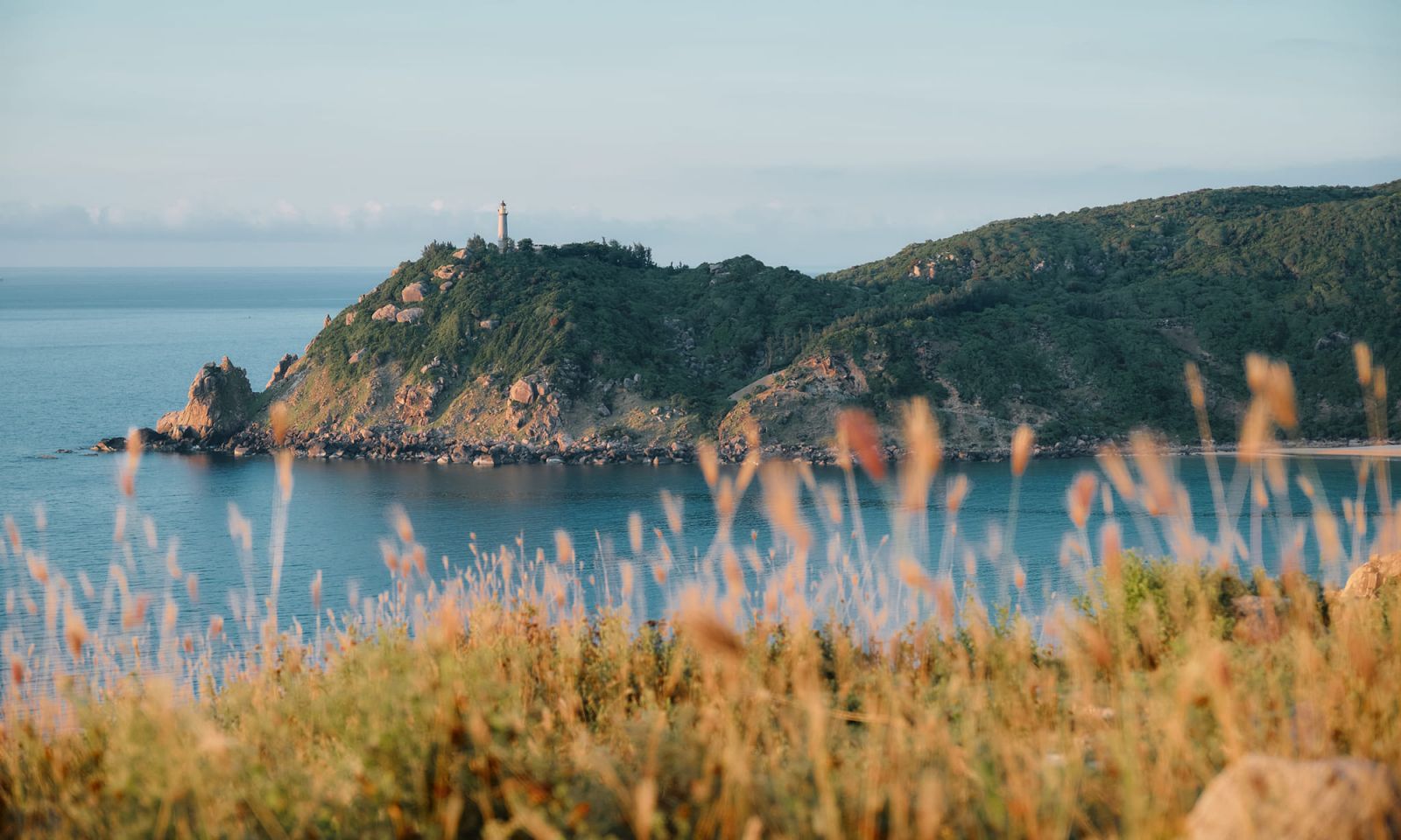 استكشاف الأرض على "أجمل طريق ساحلي في فيتنام"