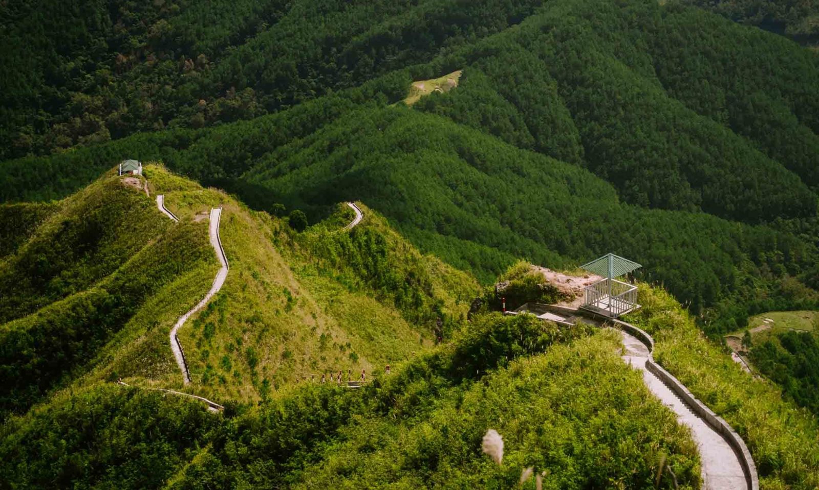 موسم عشب القصب على طريق دورية الحدود الفيتنامية