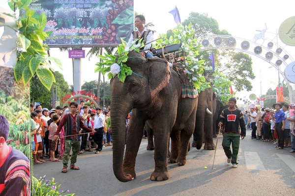 تحصل الأفيال على مكياج وتأكل البوفيه في مهرجان القهوة في بوون ما ثووت