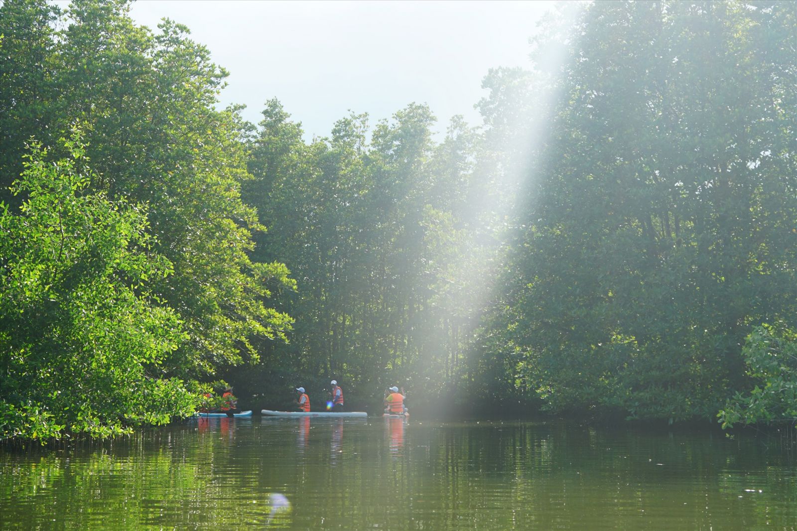 اكتشف واحة كون تشيم الخضراء (واحة طيور) في بينه دينه