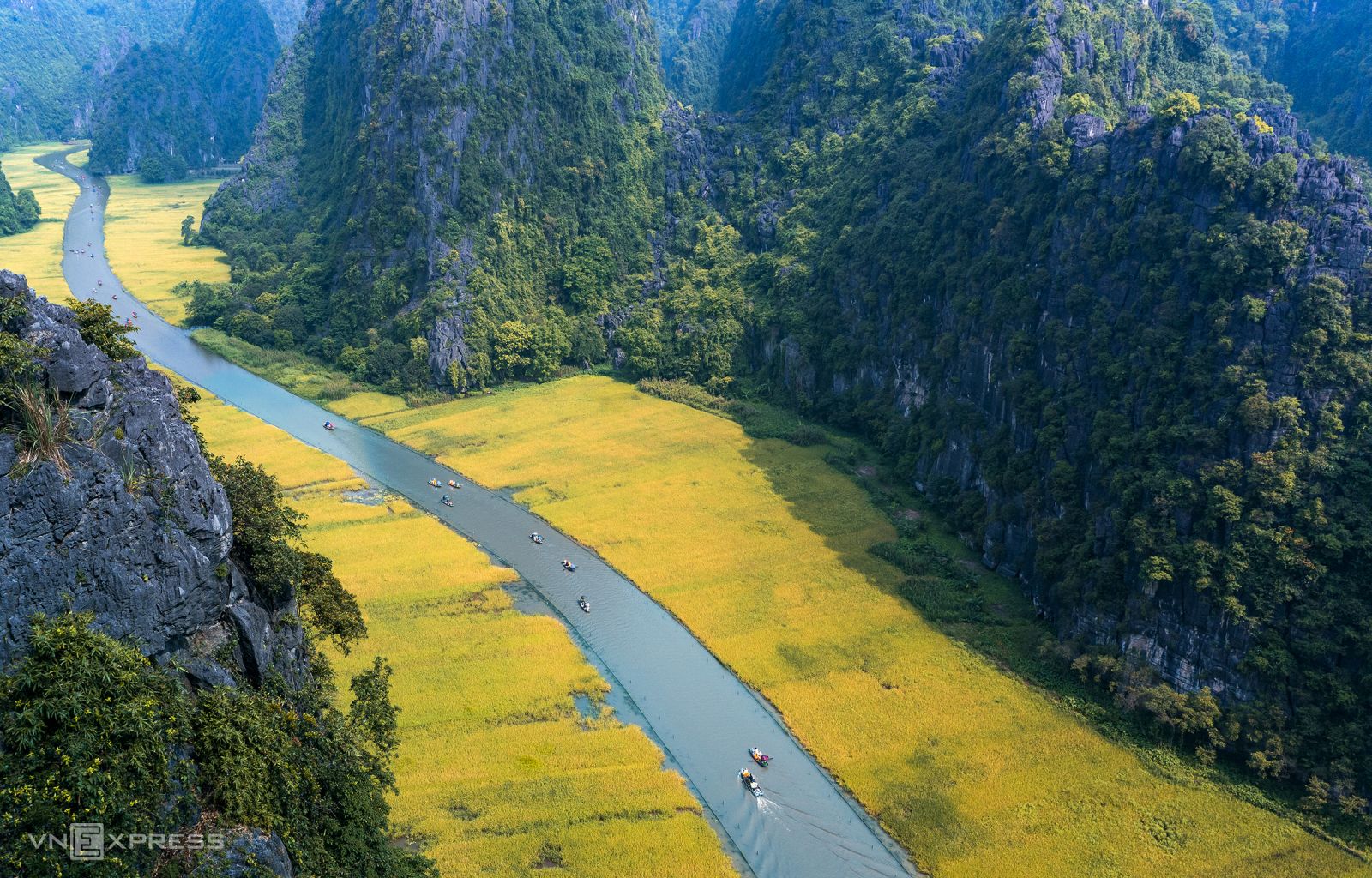 الموسم الذهبي في تام كوك