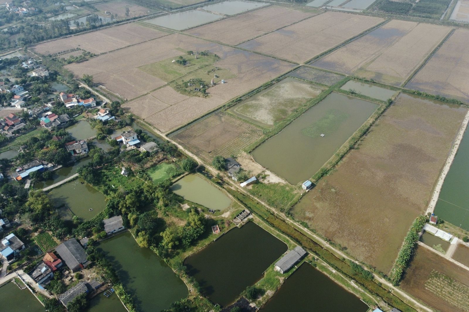 جولة لإعادة العيد "تيت" الفيتنامية القديمة في قرية فو داي