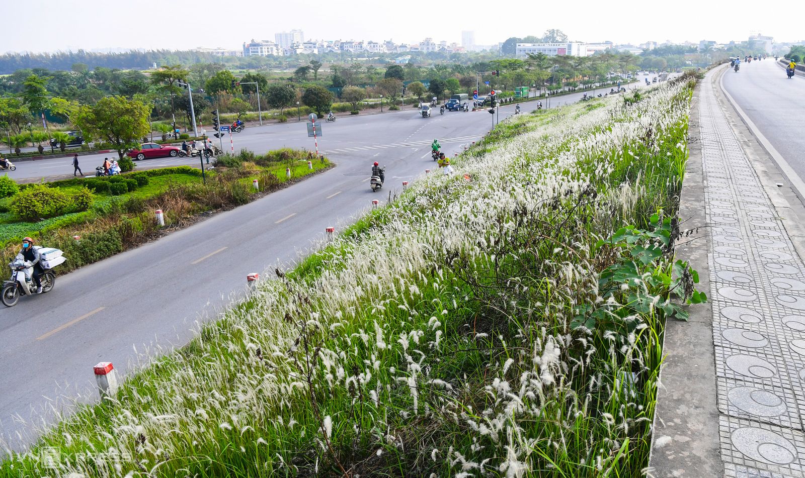 يجذب شاطئ الممسحة على طول السد الناس لالتقاط الصور