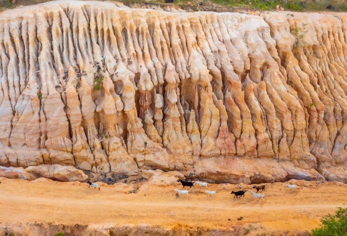 منحدر فان لونج مثل "مصر القديمة" في جيا لاي