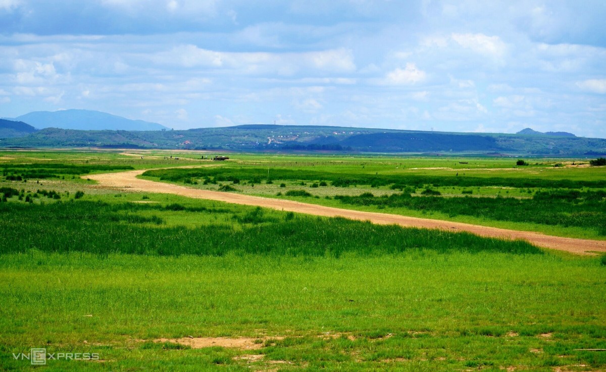 The enchanting grasslands of Tri An reservoir