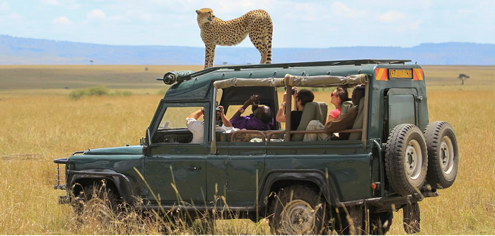 Đi safari ở châu Phi, hành trình khám phá thiên nhiên diệu kỳ
