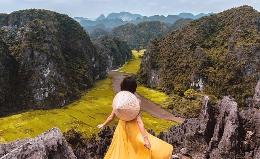 Admire The Ripening Rice Season In Tam Coc