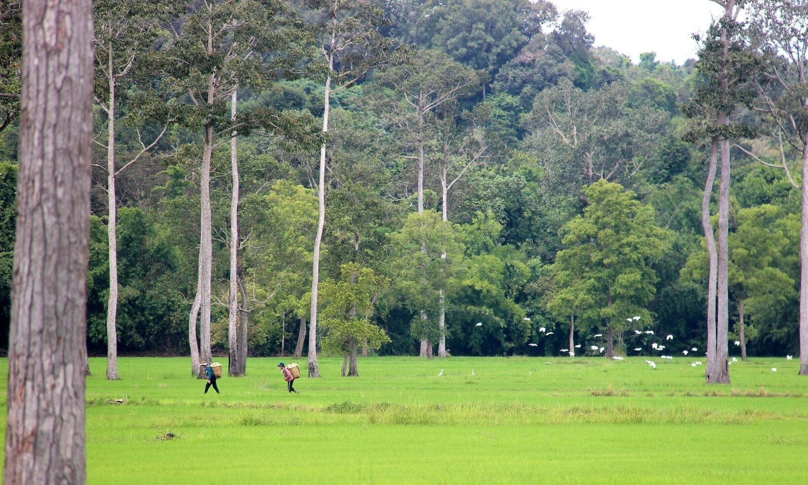 ٧ وجهات سياحية لتجنب الحرارة بالقرب من مدينة هو تشي منيه.