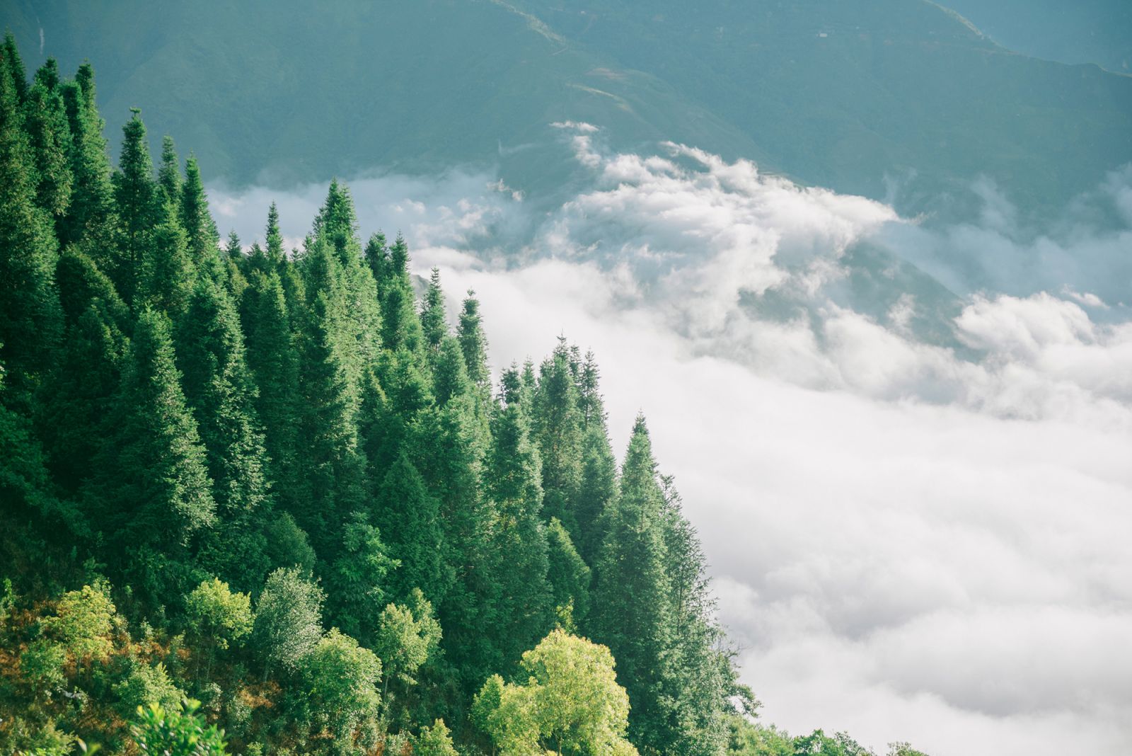 Săn mây đầu mùa ở Tà Xùa