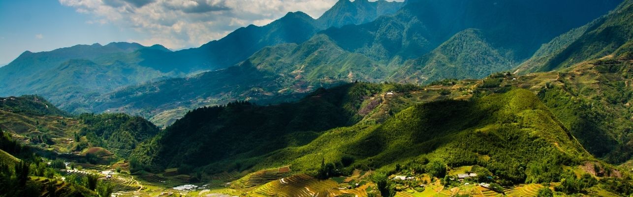 Sapa